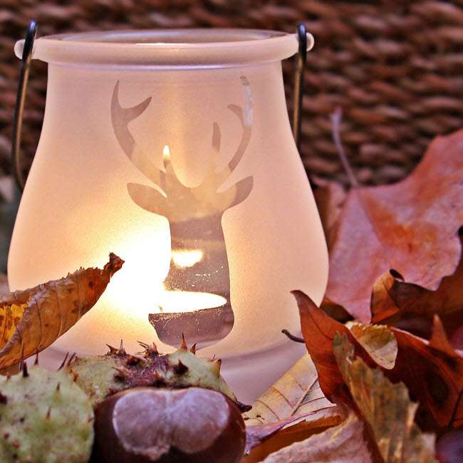 Quisque sit amet est et sapien ultricies eget